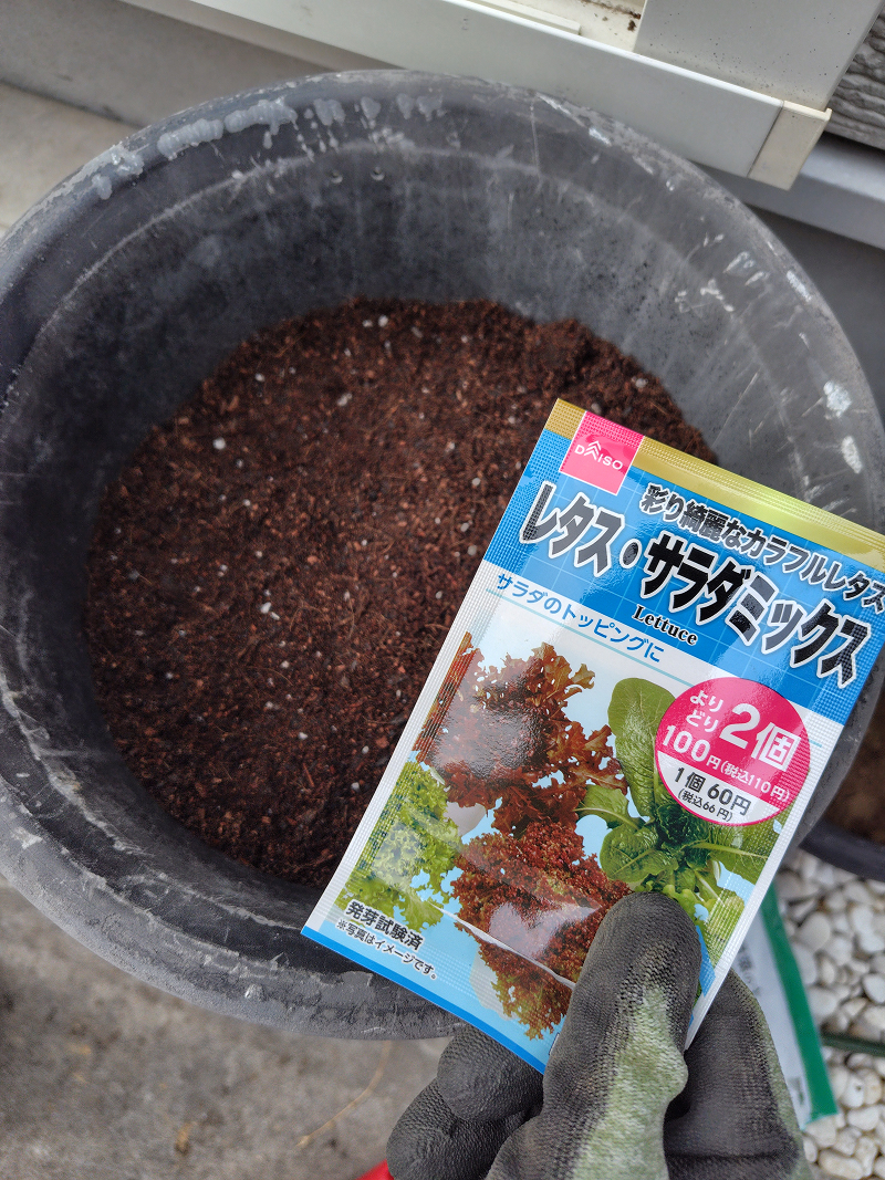 植木鉢の様子と植えた種のパッケージ